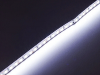 LED стрічка 12В 2835-120 14Вт 1500Лм Білий Холодний 9000-10000К IP20 8мм
